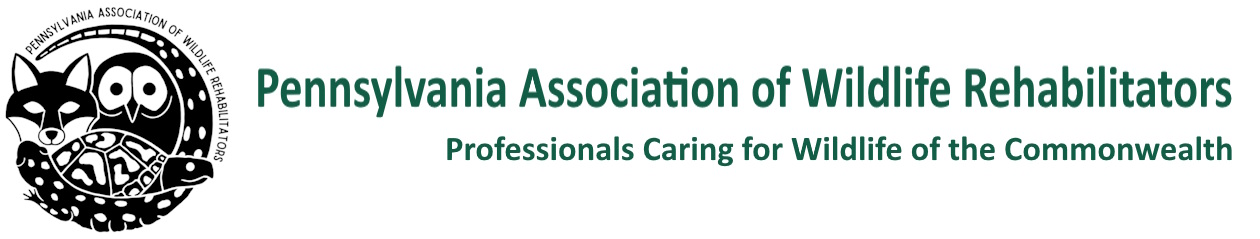 Pennsylvania Association of Wildlife Rehabilitators
